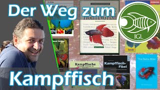 Betta splendens  der rätselhafte Kampffisch 🐟 Frank Schäfers Vortrag der IGLTagung Herbst 2023 [upl. by Nogam]