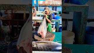 Age is old but spirit is young  fresh tuna cutting tuna fishcutting streetfood [upl. by Rinum]