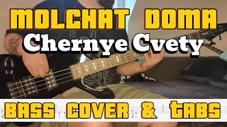 Molchat Doma  Chernye Cvety Bass Cover amp Tabs [upl. by Jabe637]