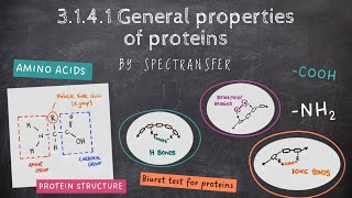 EASY REVISION AQA Alevel Biology 3141 General properties of proteins by SpecTransfer [upl. by Pesvoh]