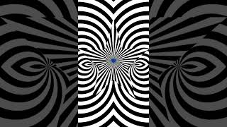 Prepare to Be Hypnotized by This Crazy Optical Illusion [upl. by Sana]