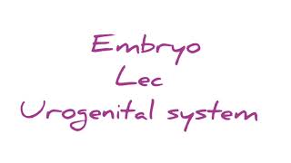 Embryo lec  urogenital system [upl. by Neilla]