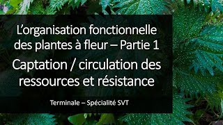 Cours Spé SVT Terminale  Organisation des plantes 1  Ressources et résistances [upl. by Hogg739]