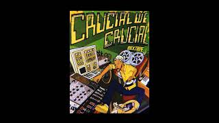 Crucial We Crucial  Vinyl mix by Kalbata Rubadub early dancehall digikillers [upl. by Eolc]