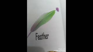 Abc book letter Ff [upl. by Dayir]