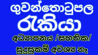 job vacancy 2024 sri lanka  රැකියා ඇබෑර්තු 2024  job vacancy 2024 rakiya abarthu factri rakiya [upl. by Lunseth609]