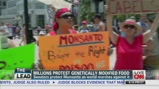 Millions protest genetically modified food [upl. by Lliw]