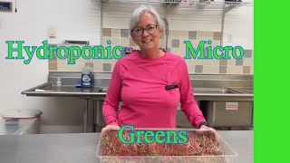 Secrets to Growing Perfect Hydroponic Micro Greens at Home [upl. by Aifoz723]