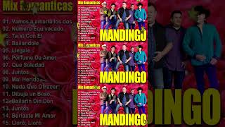 Grupo Mandingo ❤️ Mix Romanticas 2024 🌹 30 Exitos Sus Mejores Canciones❤️ [upl. by Attesoj]