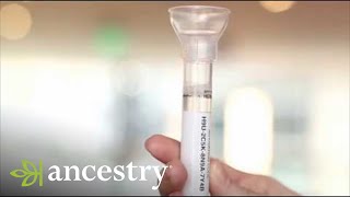 AncestryDNA  How to Submit Your AncestryDNA Sample  Ancestry [upl. by Nwahsid]