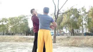 Liang style baguazhang  64 linear palms 2 [upl. by Essyla]