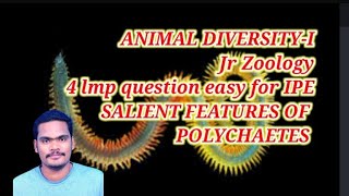 Salient features of Polychaetes Invertebrate phylaAnnelida [upl. by Nylarad]