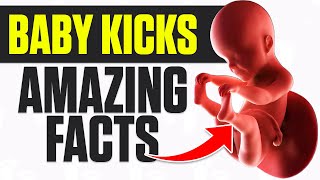 Fascinating Facts About Baby Kicks Inside the Womb [upl. by Dorfman100]