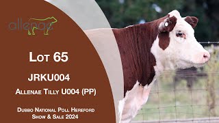 Lot 65 Allenae Tilly U004 PP [upl. by Linis]