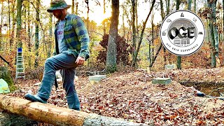 Building a Hardwood Log Cabin  Slow and Steady Progress  Ep 3 [upl. by Eittocs649]