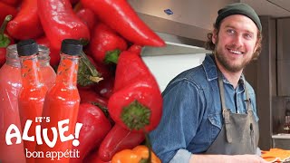 Brad Makes Fermented Hot Sauce  Its Alive  Bon Appétit [upl. by Combs]