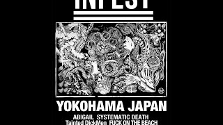 Infest  Live in El Puente  Japan Tour 2017 [upl. by Branca45]