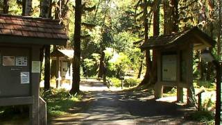 Pacific Northwest  part 4  Olympic NP  Lake Quinault  Hoh Rain Forest [upl. by Adyela]