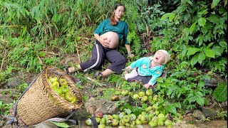 Pregnant Mother Harvest figs and dry them to sell Hoe the garden and grow vegetable Daily life [upl. by Noelyn]