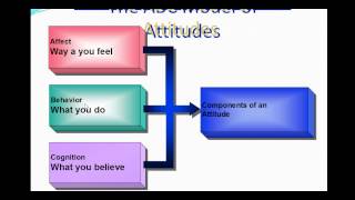 Structure of attitudes ABC model [upl. by Ydnas]