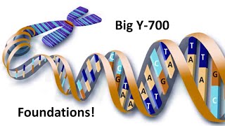 Big Y700 DNA Foundations  Lee Martinez [upl. by Burnight]