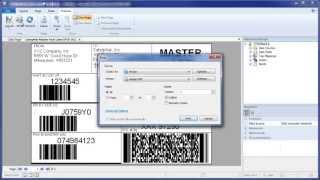 Label Printing Software at its Best  The New TFORMer V75 [upl. by Yrakaz554]