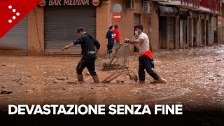 Alluvione Valencia scritte contro i politici La devastazione a Catarroja [upl. by Bohs463]