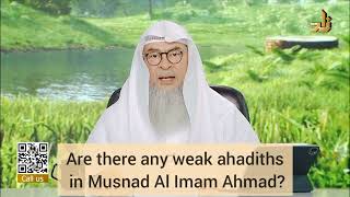 Are there any weak hadiths in Musnad Al Imam Ahmad  assim al hakeem [upl. by Ainesell]