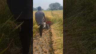 Power weeder with reaper working on field GYDIndian Agro Tech Kurnool  9666462064 [upl. by Asirrac486]