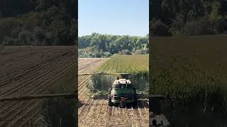 Forage Harvester 🌾 shortsvideo chopping corn [upl. by Klina634]