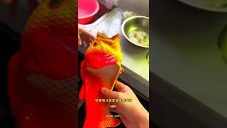 Fish slipper😨 New Viral Gadgets Smart Appliances Kitchen Utensils Home Inventions shorts [upl. by Erbas]