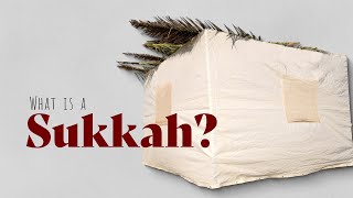 What Is a Sukkah [upl. by Lathan]