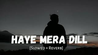 Haye Mera Dil Slowed  Reverb Alfaaz  Honey Singh [upl. by Ainez788]