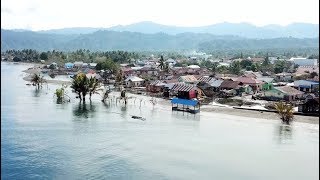 The Central Sulawesi earthquake response [upl. by Nnylireg]