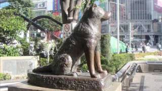 Hachiko  Eine wunderbare Freundschaft [upl. by Aynek]