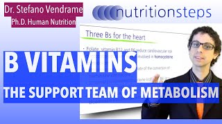 Group B Vitamins the Support Team of Metabolism [upl. by Anicul]