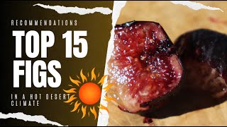 Top 15 Fig Varieties in 2019  AZ 9B [upl. by Fey]