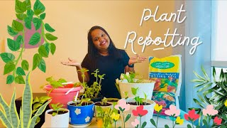 A Day Of Plant Care🌱🇦🇪  A Positive Day  Anjali Sreedharan  Malayalam Vlog  Aesthetic  Dubai🇦🇪 [upl. by Romney534]