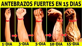 ✅COMO HACER UN ANTEBRAZO GRANDE  Entrenamiento de antebrazo en casa  Ejercicio de muñeca agarre [upl. by Luas]