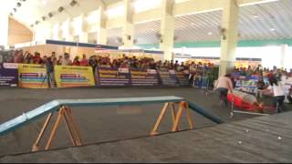 DOG AGILITY SHOW AT INDIA INTERNATIONAL PET TRADE FAIR 2014 [upl. by Winne248]