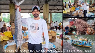 🐟Mumbai colaba Sassoon dock fish market 🦀 bhaucha Dhakka fish market bhauchadhakka colaba market [upl. by Anomar]