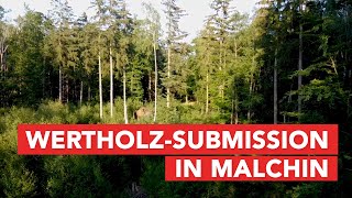 WertholzSubmission in Malchin [upl. by Imhsar619]