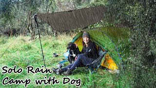 Solo Tent Camping in HEAVY RAIN and Thunder With my Dog for Company [upl. by Lazare158]