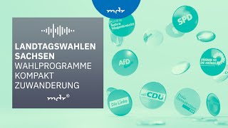 Zuwanderung – Das planen Sachsens Parteien  Podcast Wahlprogramme kompakt  MDR [upl. by Deutsch]