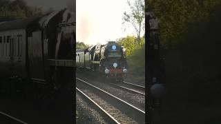 ‘Clan line’ thunders through Tiverton Parkway with a whistle  steamtrain trainspotting fyp [upl. by Raddie]