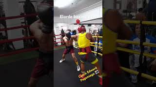 Boxing sparring boxingsparring sumpayprado boxers fighters gilmorefighters elordegym [upl. by Lebam]