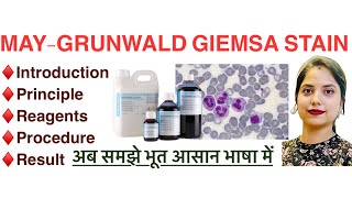 MayGrunwald giemsa stain Mgg in Hindi  Principle  Procedure  Reagents  MLT [upl. by Youngran]