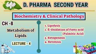 Lipid metabolism  CH8  L4  Biochemistry and clinical pathology  DPharm second year [upl. by Sabina]