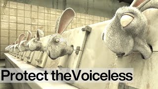 Bright Eyes End Cosmetics Testing on Animals NOW [upl. by Schmeltzer366]