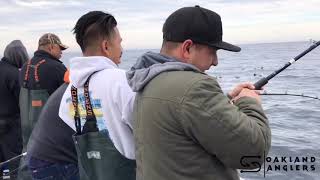 Fishing at Farallon Islands for Rock Cod [upl. by Alyt]